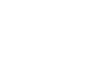 The Eco Gang