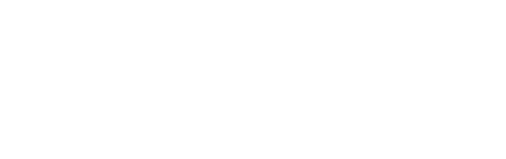 IQ Retail